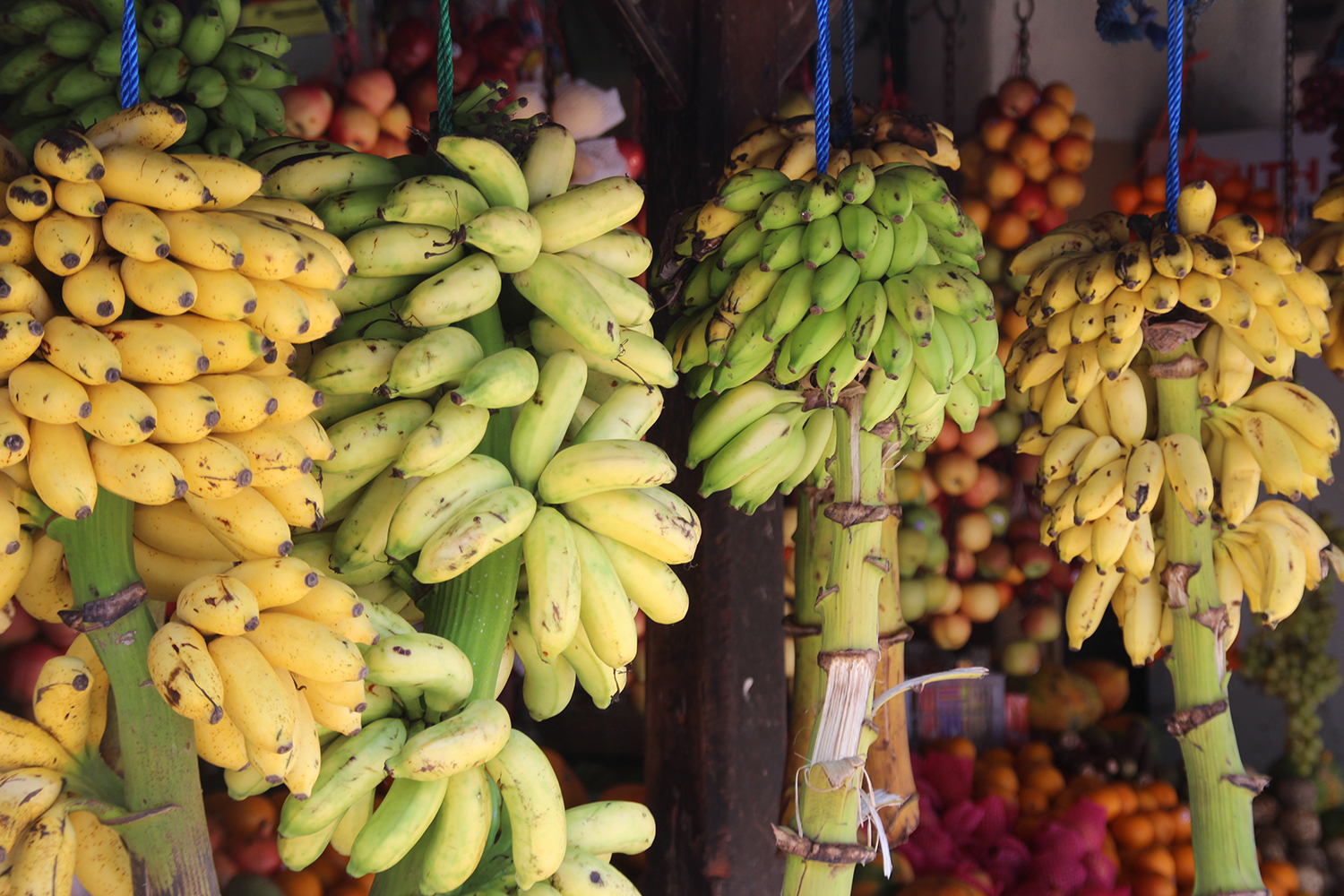 Bananenstand Sri Lanka